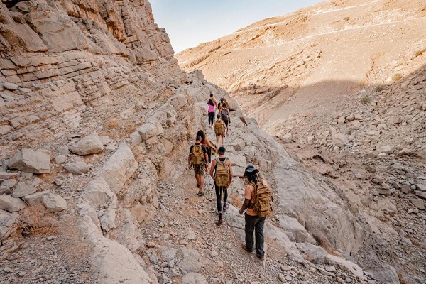 کمپ اکسپلوررز Bear Grylls و گزینه‌های بقا و ماجراجویی